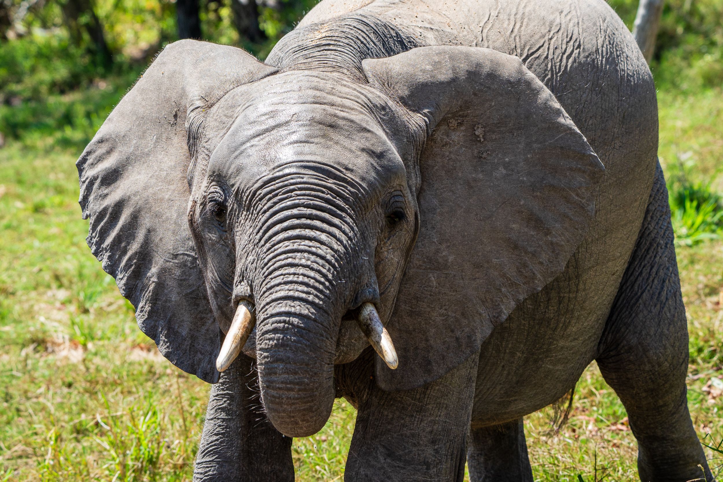 20231003 110056 Fotobuch Südafrika 04535